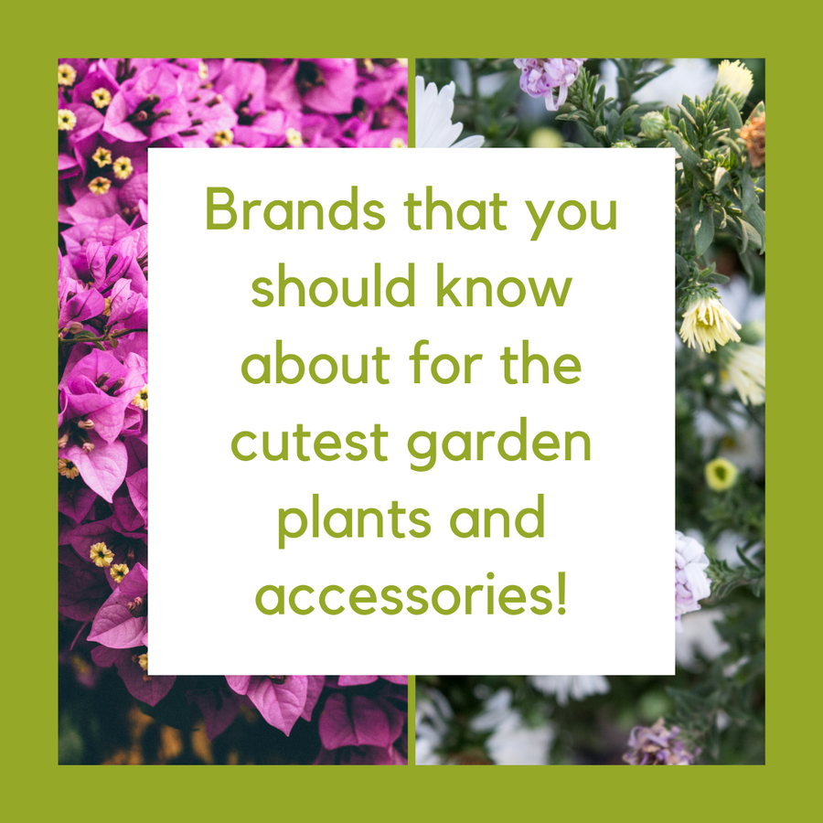 Brands that you should know about for the cutest garden plants and accessories.png