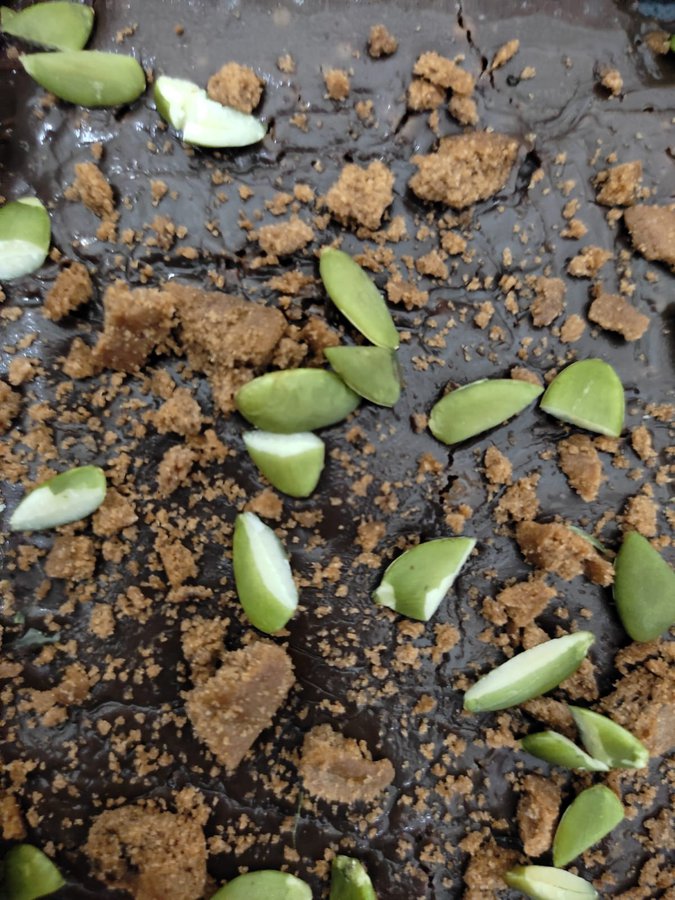 WhatsApp Image 2021-08-21 at 12.49.10 AM.jpeg