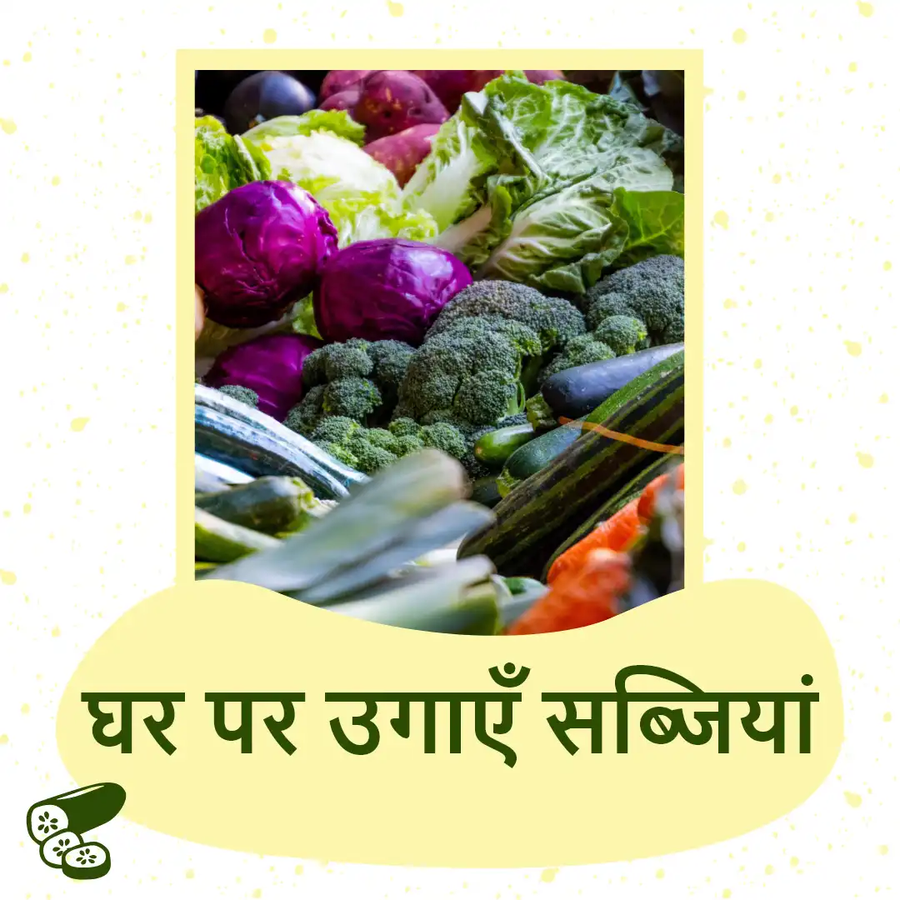 कम मेहनत और देखभाल में उगाये ये 5 सब्जियां.webp